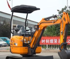 Rhinoceros XN18